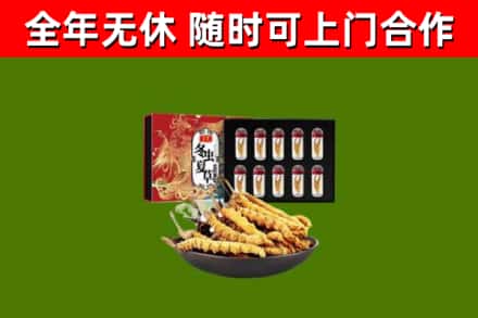 永顺回收冬虫夏草价格