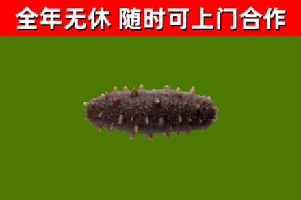永顺烟酒回收干海参.jpg
